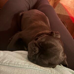 Meet your Posher, Kristine